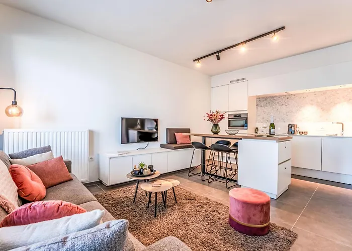 Baelskaai 25 With Balcony By Interhome * 奥斯滕德